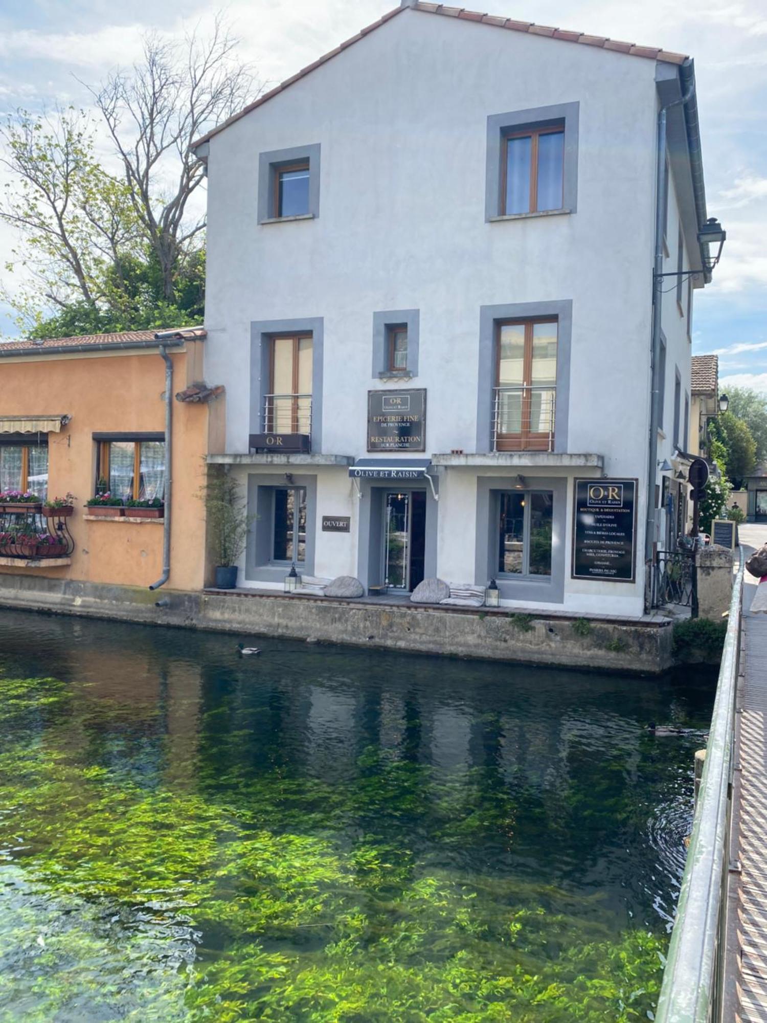 Olive- Vaste Appartement Donnant Sur La Sorgue LʼIsle-sur-la-Sorgue Eksteriør billede